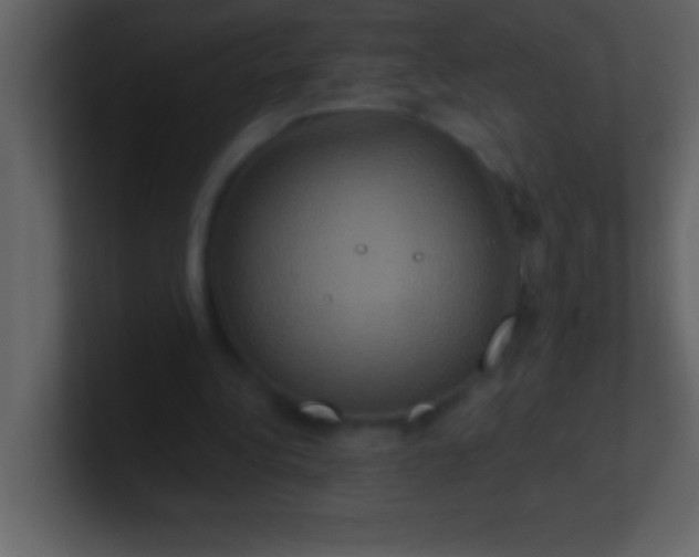 X0000100920340200807081156