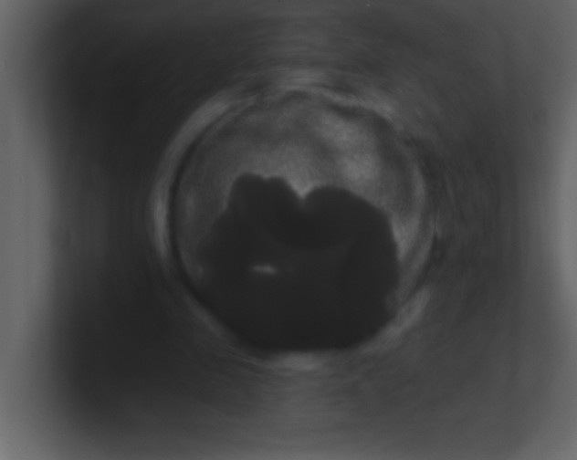 X0000100920341200807081156