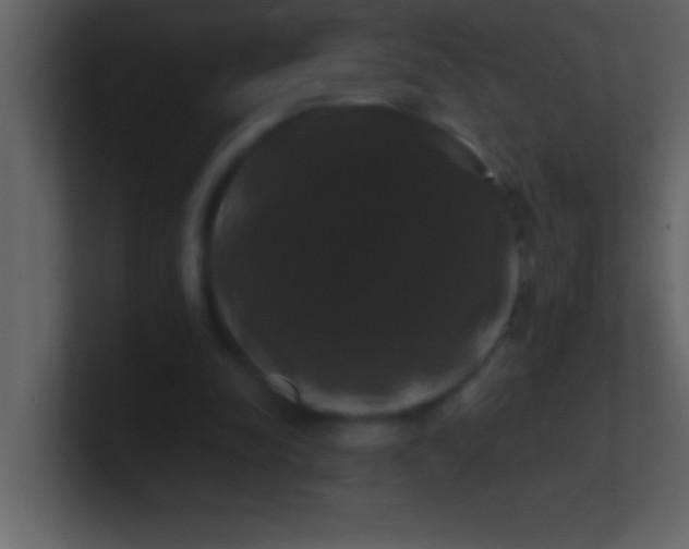 X0000100920342200807081156