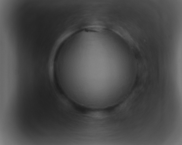 X0000100920344200807081156