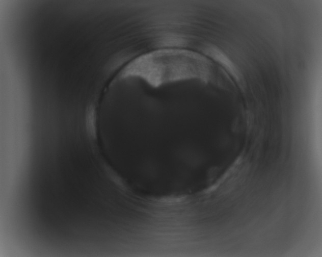 X0000100920345200807081156