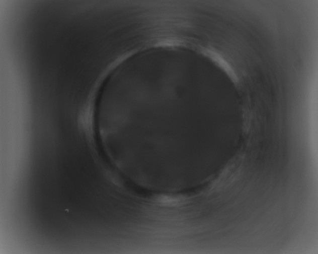 X0000100920346200807081156