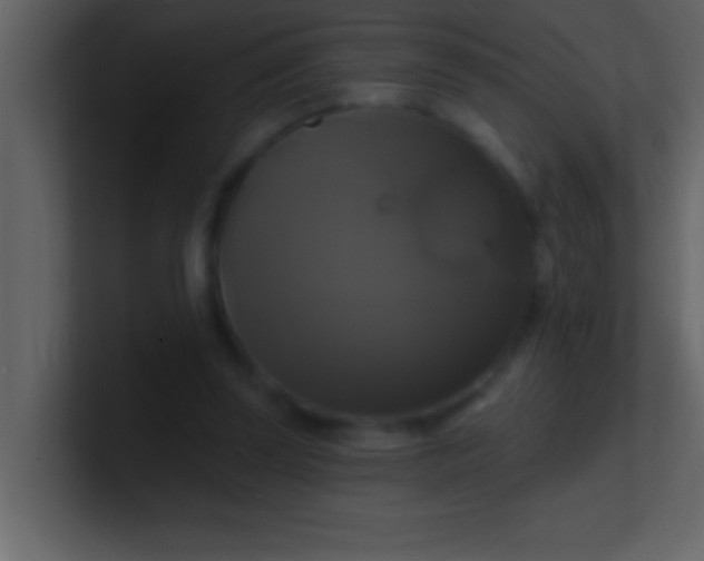 X0000100920347200807081156