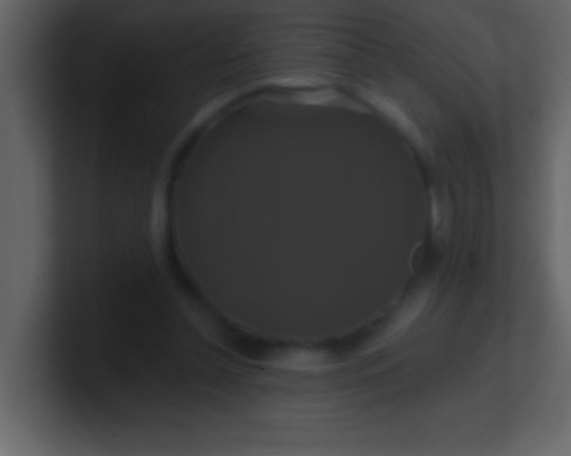 X0000100920348200807081156