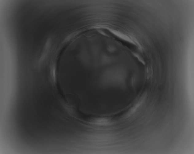 X0000100920349200807081156