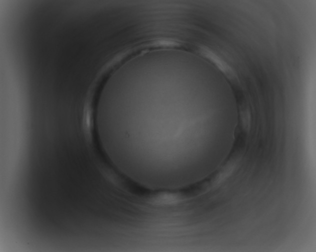 X0000100920350200807081156