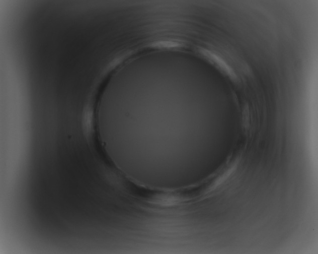 X0000100920351200807081156