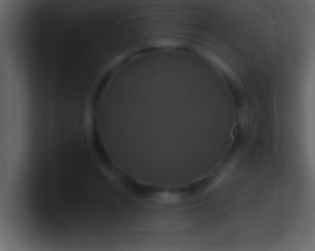 X0000100920352200807081156