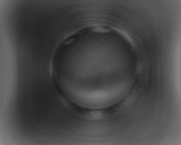 X0000100920353200807081156