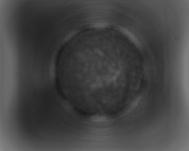 X0000100920354200807081156