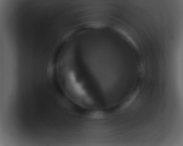 X0000100920355200807081156