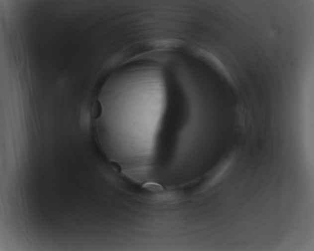 X0000100920357200807081156