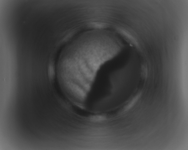 X0000100920358200807081156