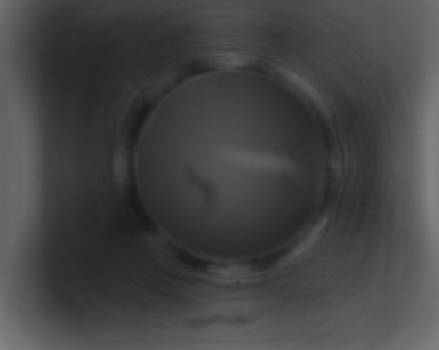 X0000100920359200807081156