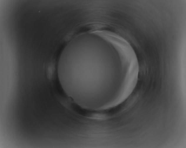 X0000100920360200807081156