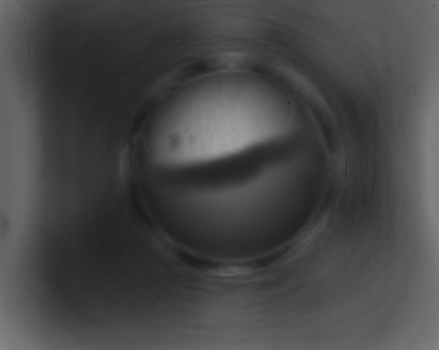 X0000100920361200807081156