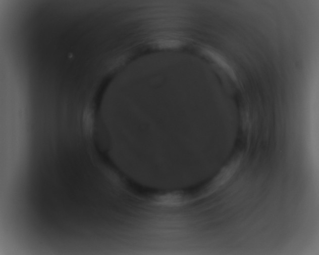 X0000100920362200807081156