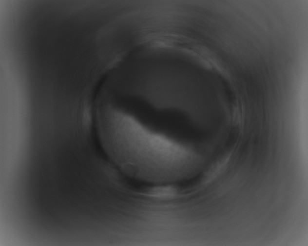 X0000100920363200807081156