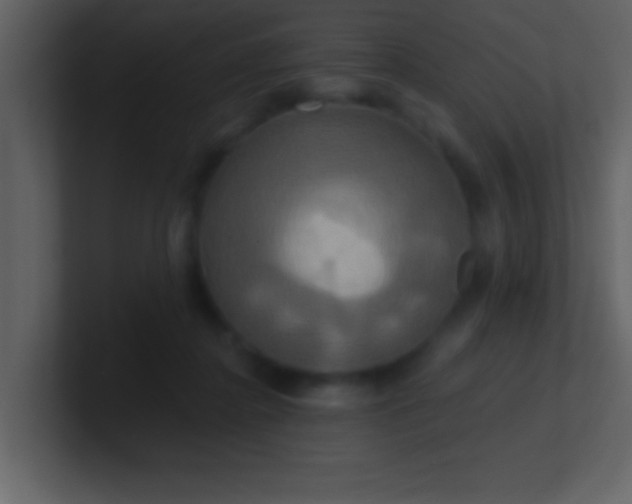 X0000100920364200807081156