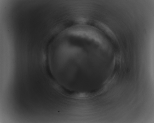 X0000100920365200807081156