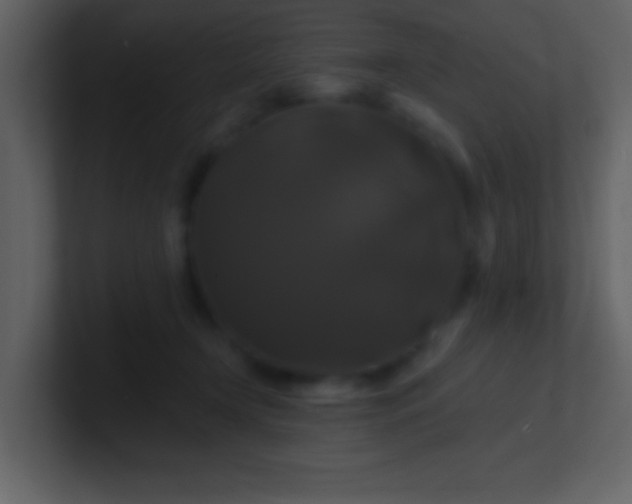 X0000100920366200807081156