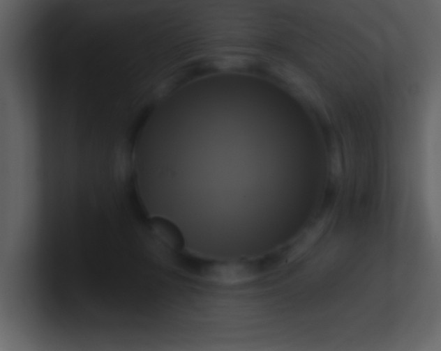 X0000100920367200807081156