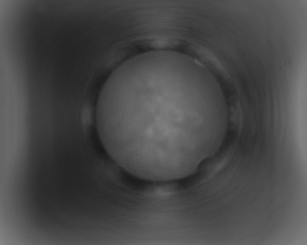 X0000100920368200807081156