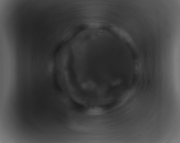 X0000100920369200807081156