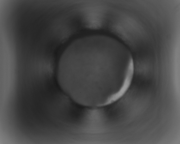 X0000100920370200807081156