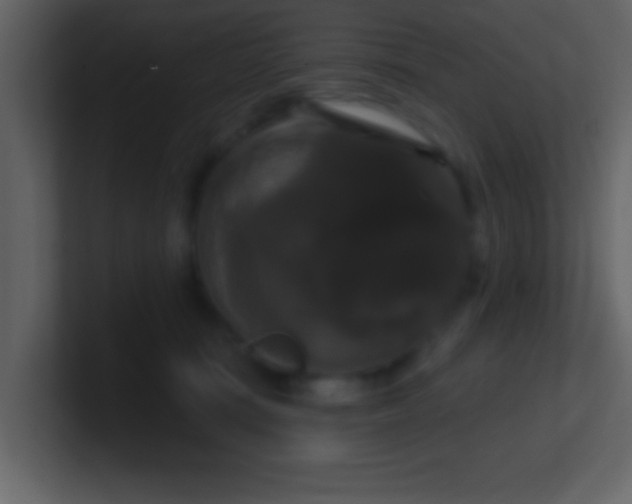 X0000100920371200807081156