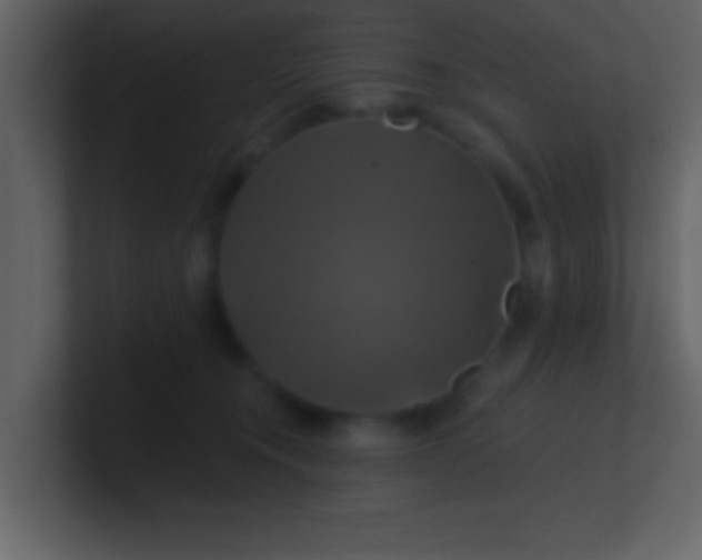 X0000100920372200807081156