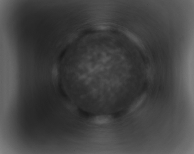 X0000100920373200807081156