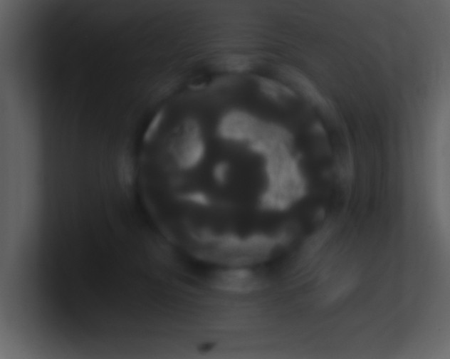 X0000100920374200807081156