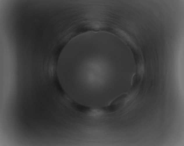 X0000100920376200807081156