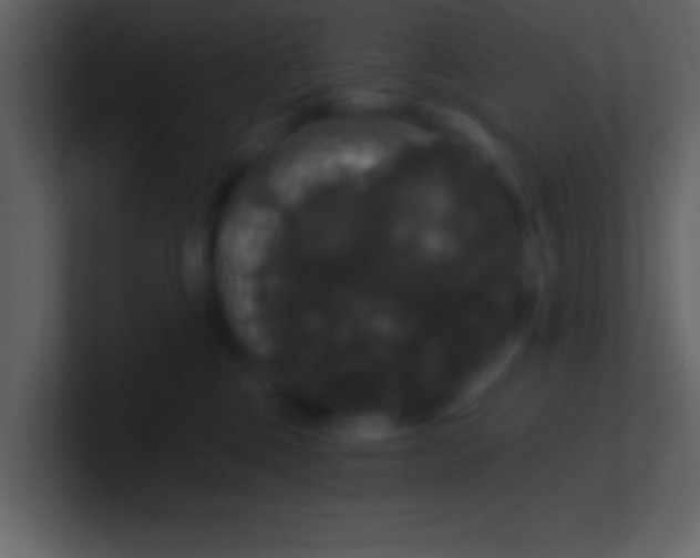 X0000100920377200807081156