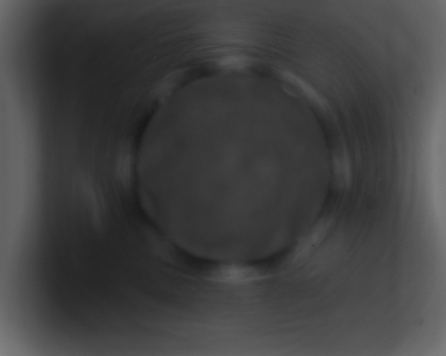 X0000100920379200807081156