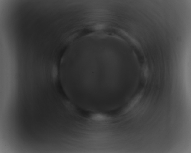 X0000100920380200807081156