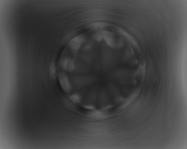 X0000100920381200807081156