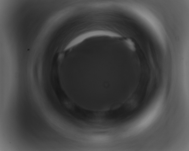 X0000100920382200807081156