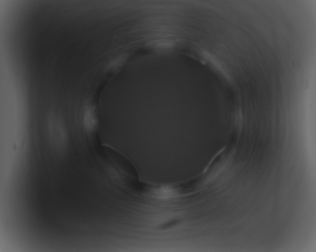 X0000100920383200807081156