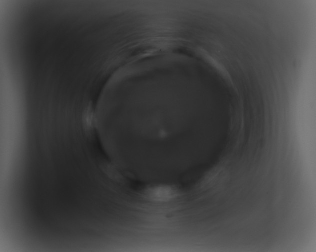 X0000100920384200807081156