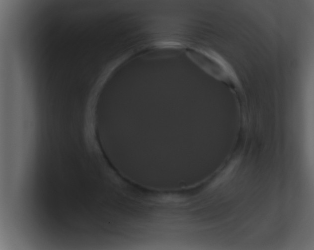 X0000100920385200807081156