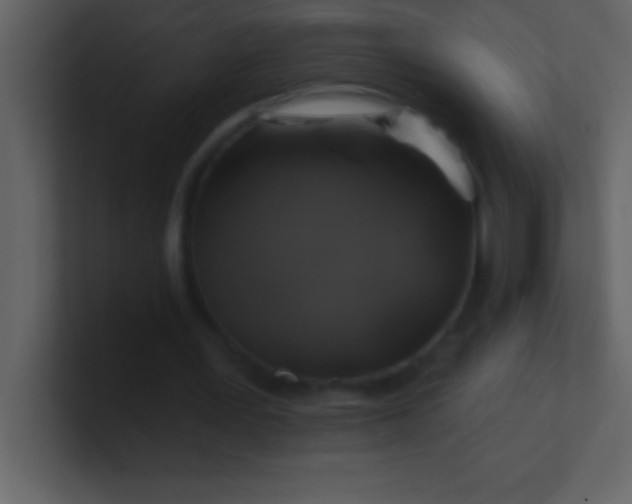 X0000100920387200807081156