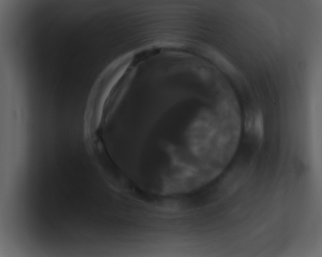 X0000100920388200807081156