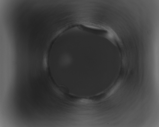 X0000100920393200807081155