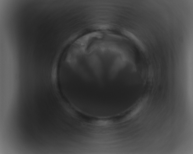 X0000100920394200807081155