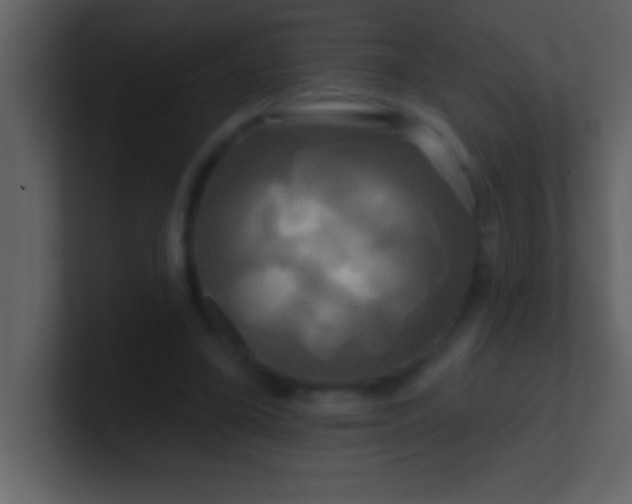 X0000100920395200807081155