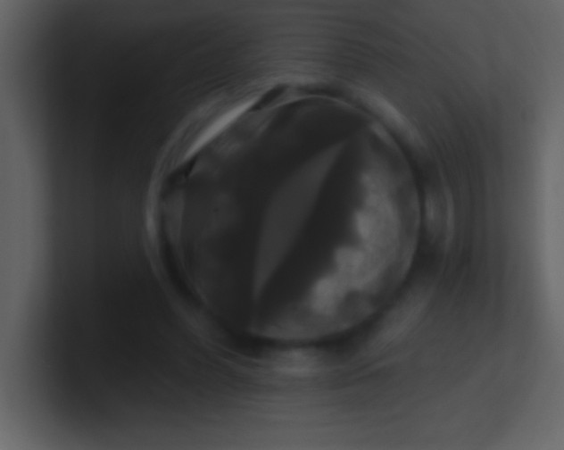 X0000100920396200807081155