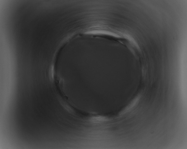 X0000100920397200807081155