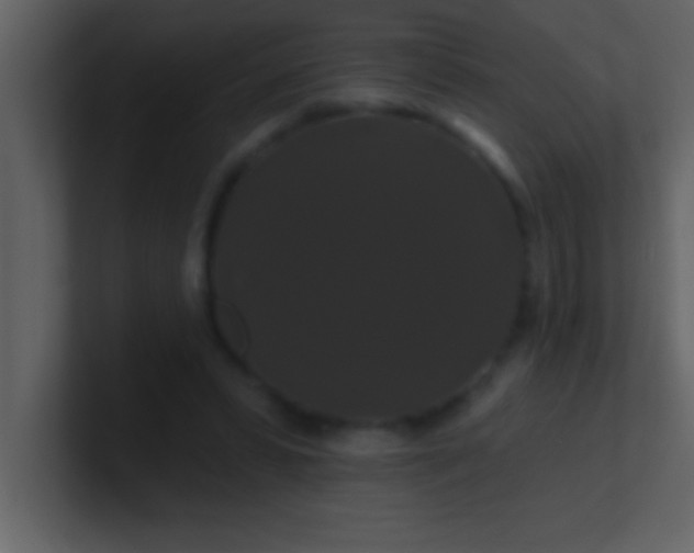 X0000100920399200807081155